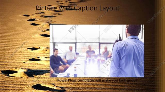 Picture with Caption presentation slide layout