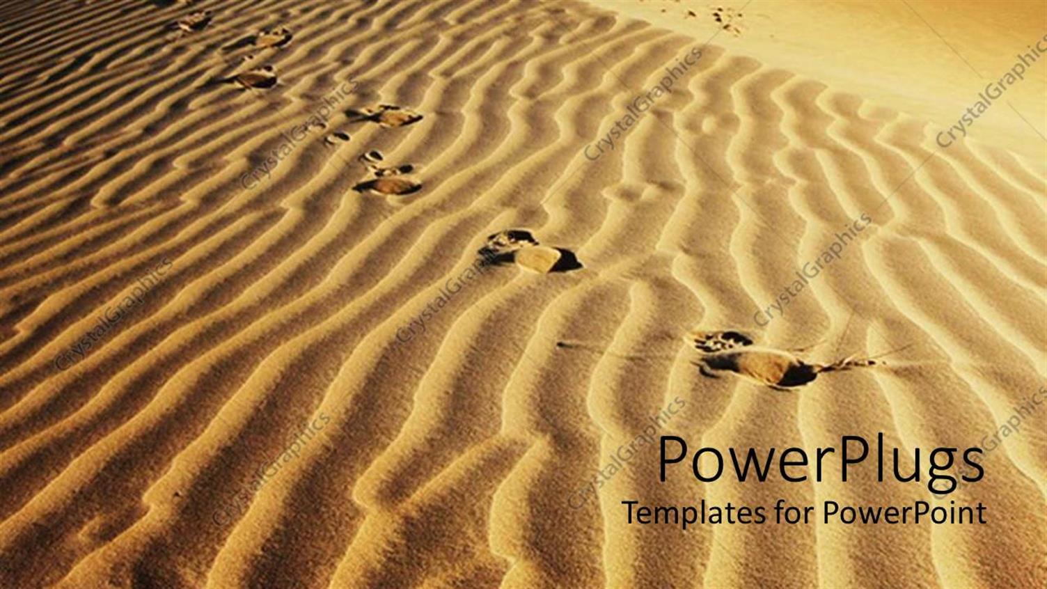 Premium Template for PowerPoint & Google Slides 