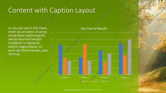 Content with Caption presentation slide layout