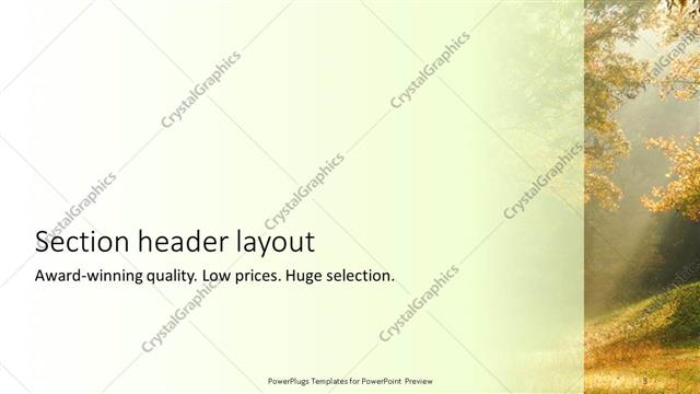 Section Header presentation slide layout