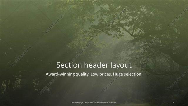 Section Header presentation slide layout