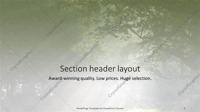 Section Header presentation slide layout