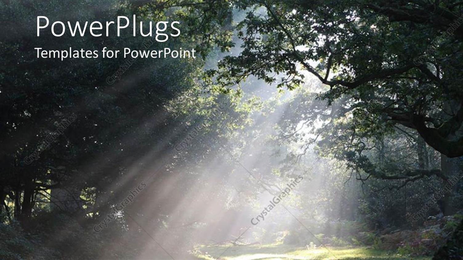 Premium Template for PowerPoint & Google Slides 