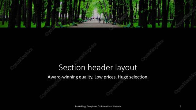 Section Header presentation slide layout