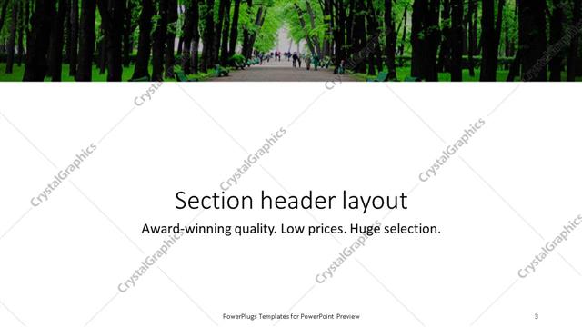Section Header presentation slide layout