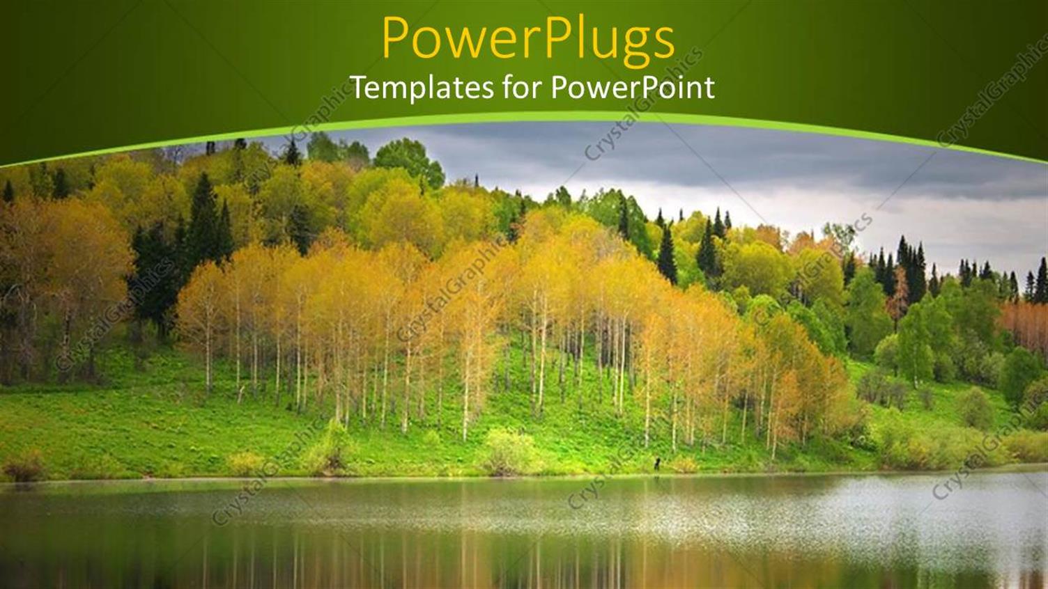 Premium Template for PowerPoint & Google Slides 