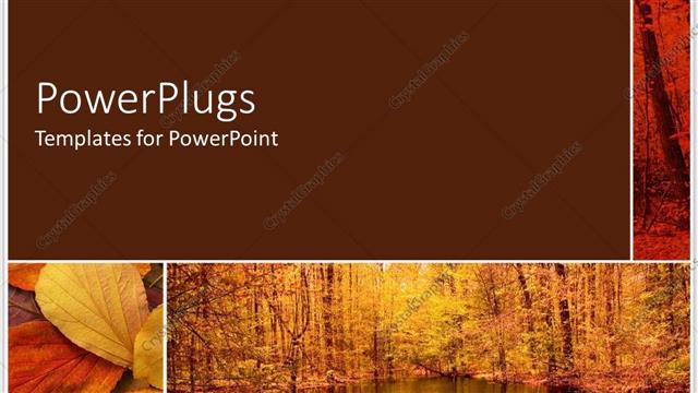  Presentation with forest - A forest and a number of leaves