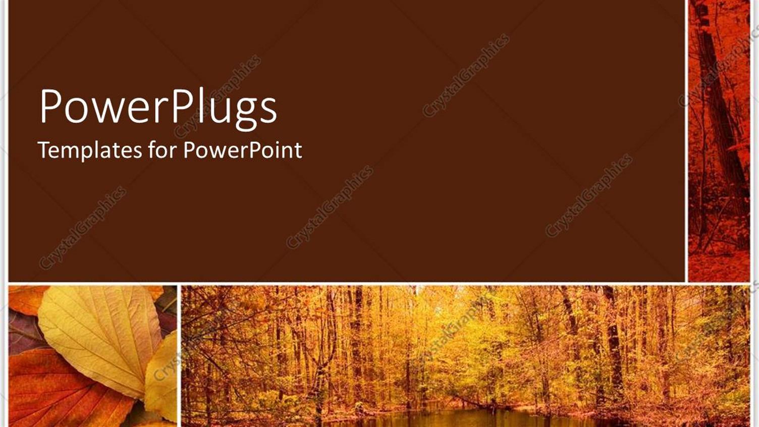 Premium Template for PowerPoint & Google Slides 