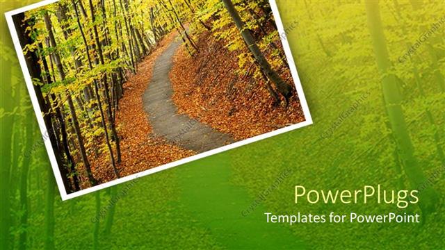  Presentation with path sunlight - Forest path in autumn with sunlight filtering through leaves