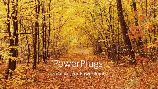  Presentation with leaves - Forest path covered with autumn leaves