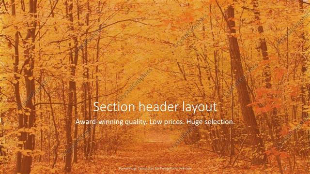 Section Header presentation slide layout