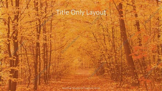 Title Only presentation slide layout