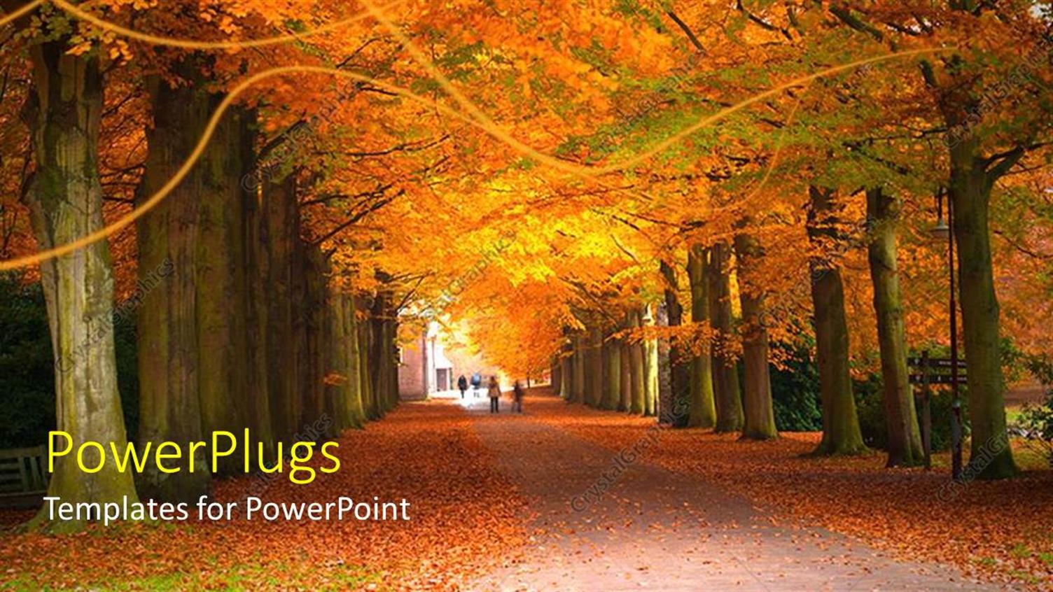 Premium Template for PowerPoint & Google Slides 