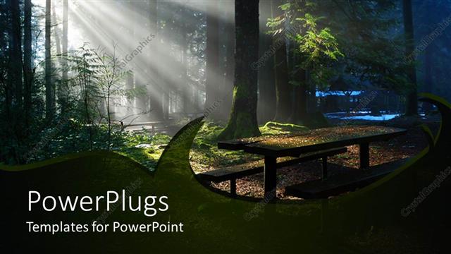  Presentation with hope - Forest with trees and green leaves and leaves on the ground with sun rays getting through the tree branches