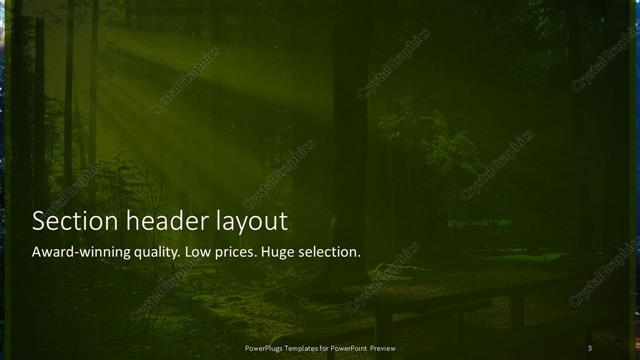 Section Header presentation slide layout