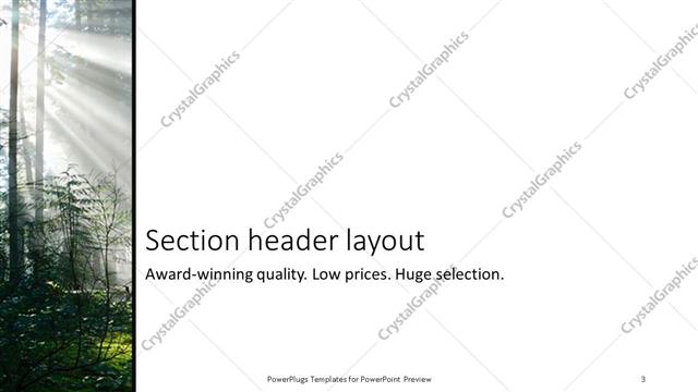 Section Header presentation slide layout