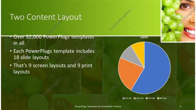 Two Content presentation slide layout