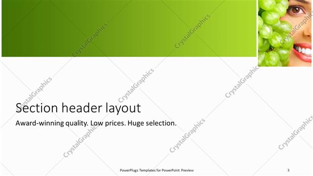 Section Header presentation slide layout