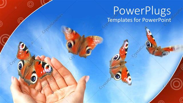 Presentation with freedom - Four flying butterflies and two woman hands releasing butterfly on bright blue sky background