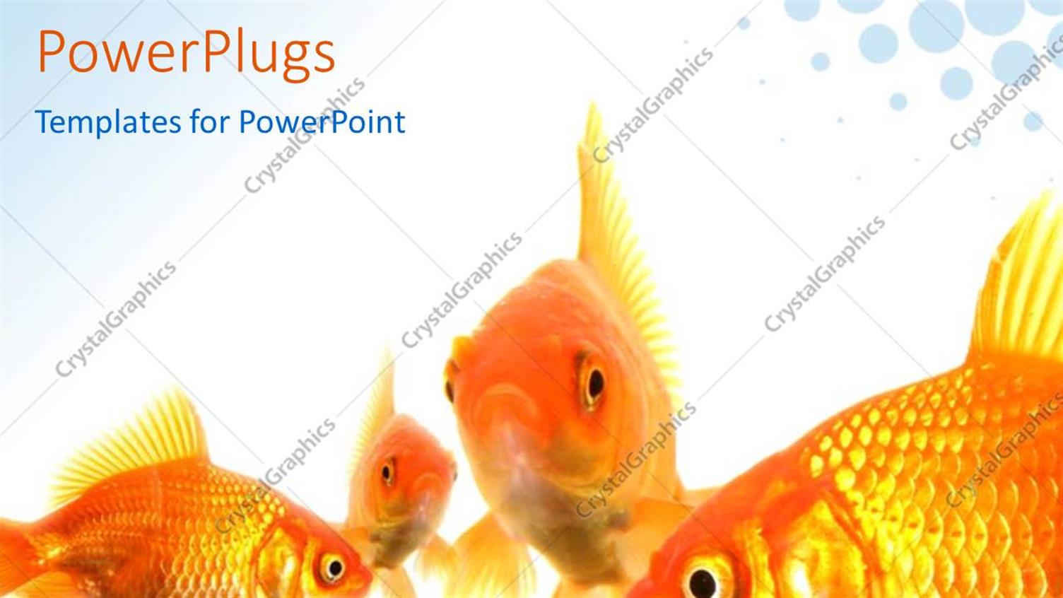 Premium Template for PowerPoint & Google Slides 