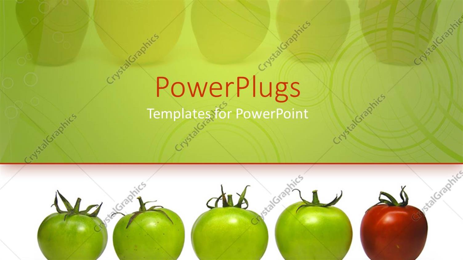 Featuring Four Green Tomatoes and a Red One Lined Up