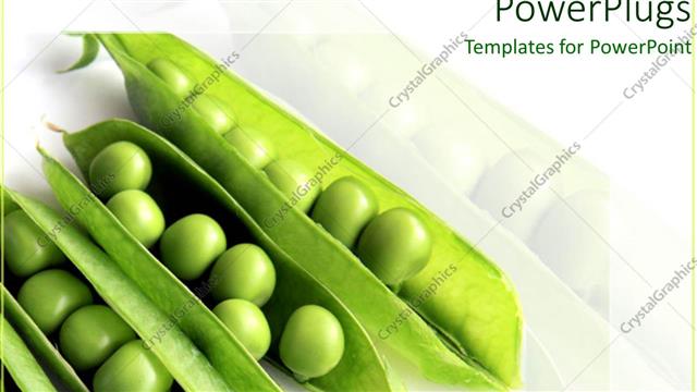  Presentation with peas - Four peas in their pods on a white background