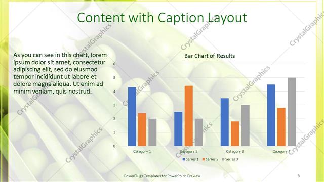 Content with Caption presentation slide layout