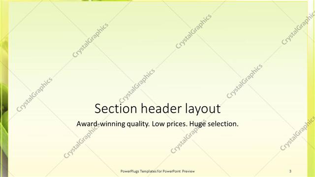 Section Header presentation slide layout
