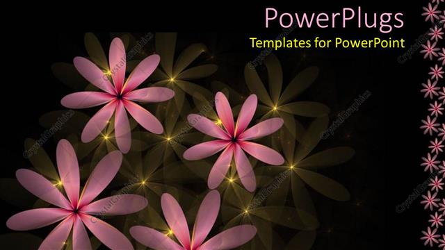  Presentation with glow - Four pink flowers with yellow lights on a black background
