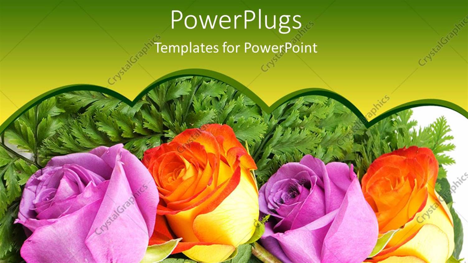 Premium Template for PowerPoint & Google Slides 