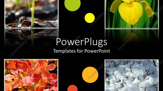  Presentation with four seasons - Four tiles with different flowers on a black background