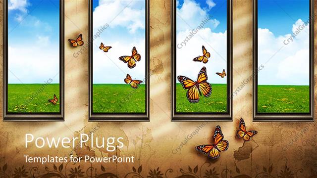  Presentation with windows - Four windows showing landscape with butterflies