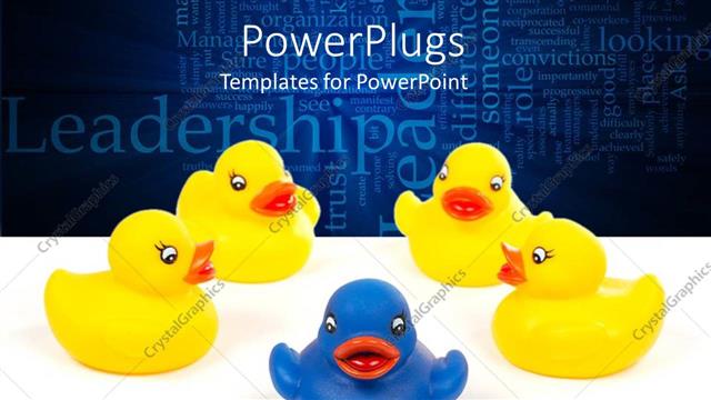  Presentation with rubber duck - Four yellow rubber ducks and one blue rubber duck