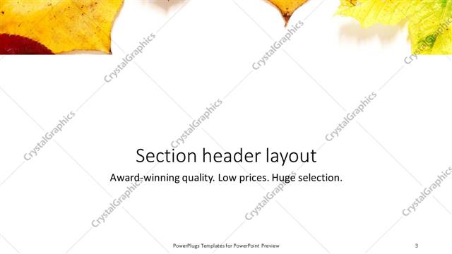Section Header presentation slide layout
