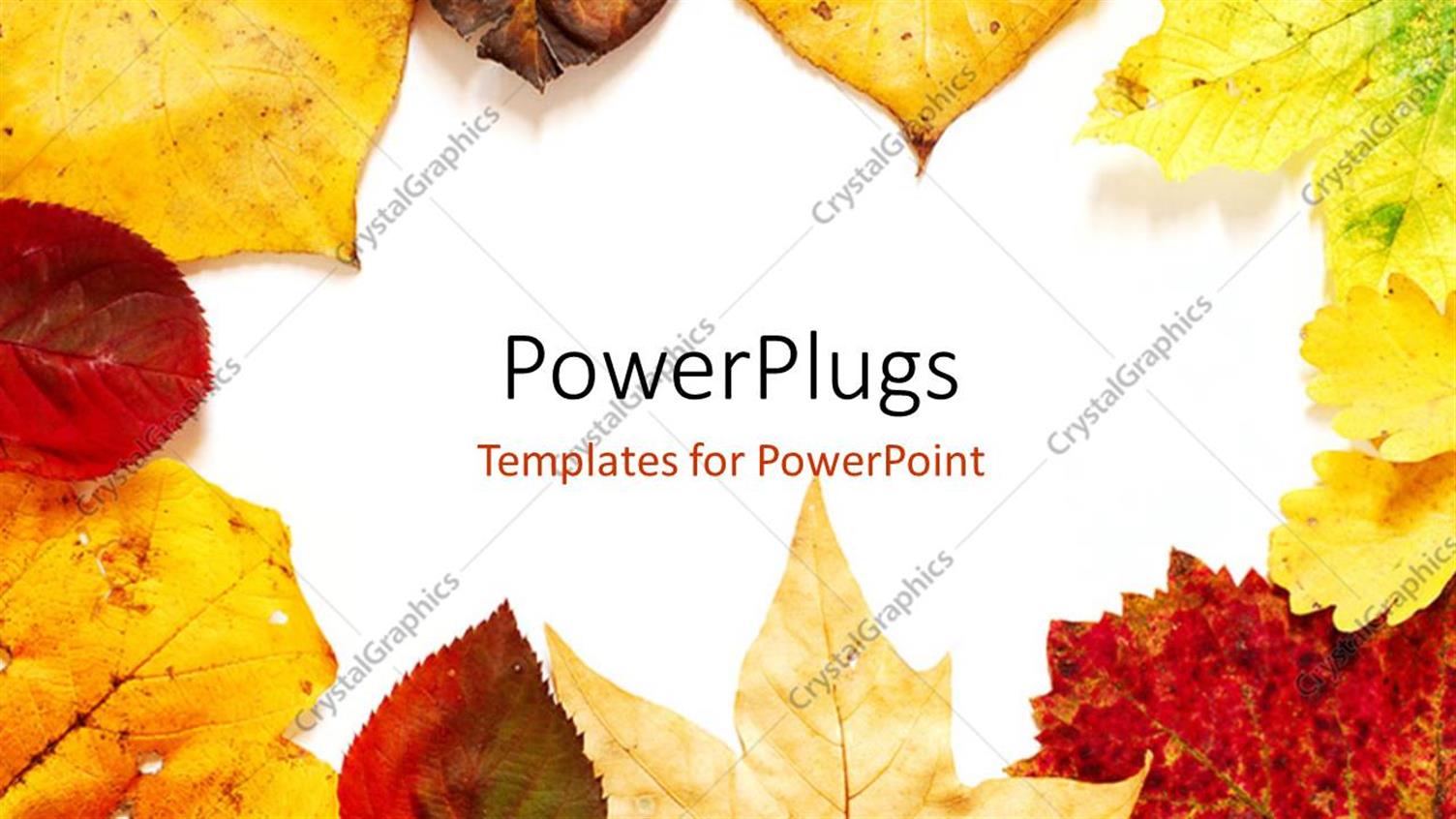 Premium Template for PowerPoint & Google Slides 