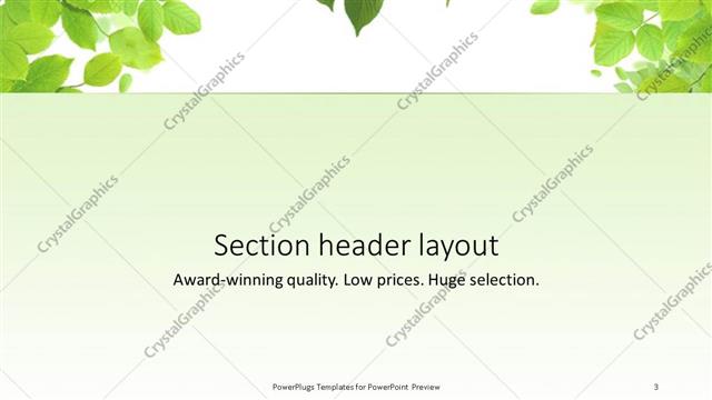 Section Header presentation slide layout