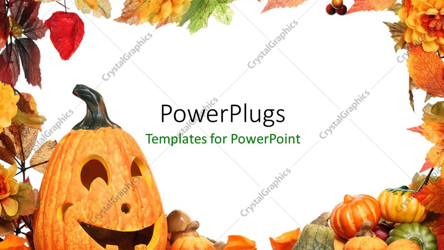 Premium Template for PowerPoint & Google Slides 