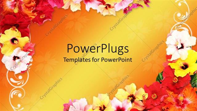  Presentation with hibiscus flower - Frame with multi colored hibiscus flowers designing the corners