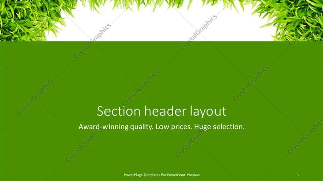 Section Header presentation slide layout