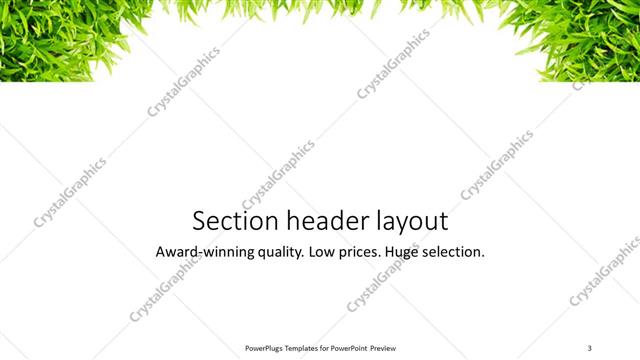 Section Header presentation slide layout