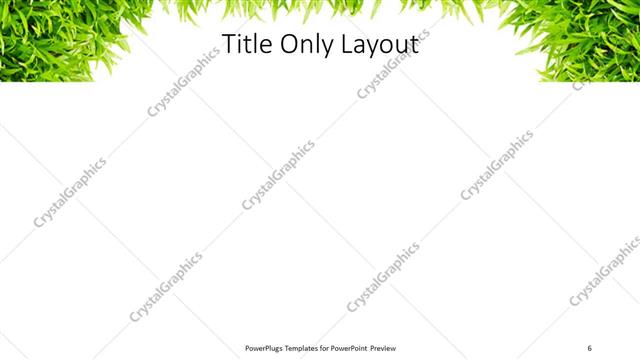 Title Only presentation slide layout