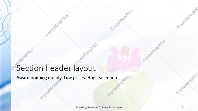 Section Header presentation slide layout