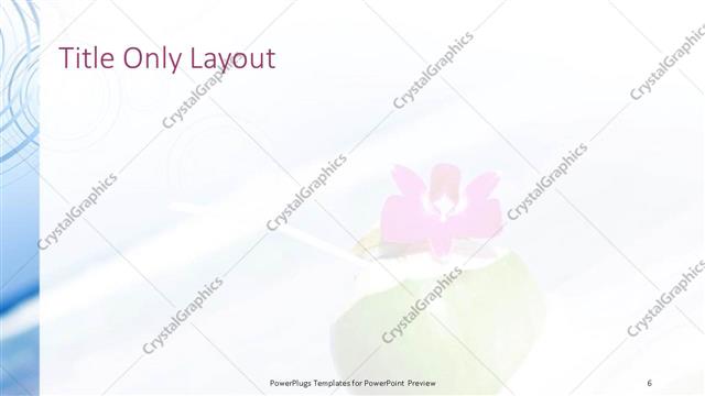 Title Only presentation slide layout