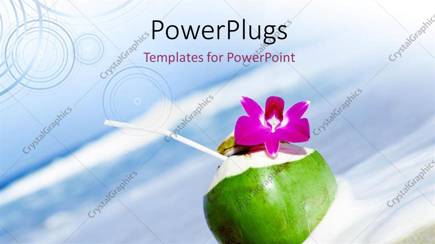 Premium Template for PowerPoint & Google Slides 