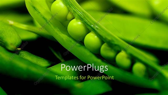  Presentation with veggie - Fresh flourishing green vegetables with green peas