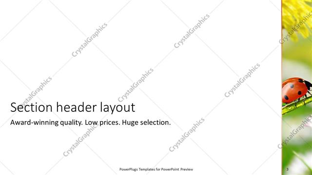 Section Header presentation slide layout
