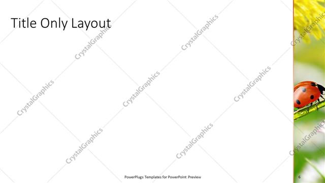 Title Only presentation slide layout