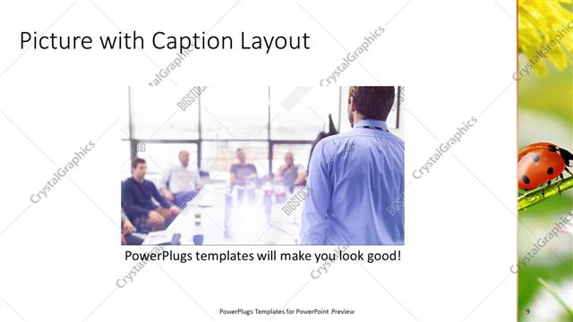 Picture with Caption presentation slide layout