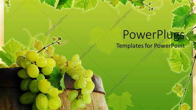  Presentation with wine - Fresh grape in wine barrel with grapevine framing on green background