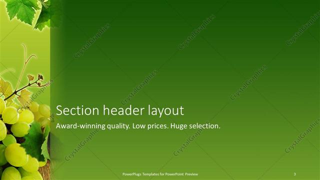 Section Header presentation slide layout